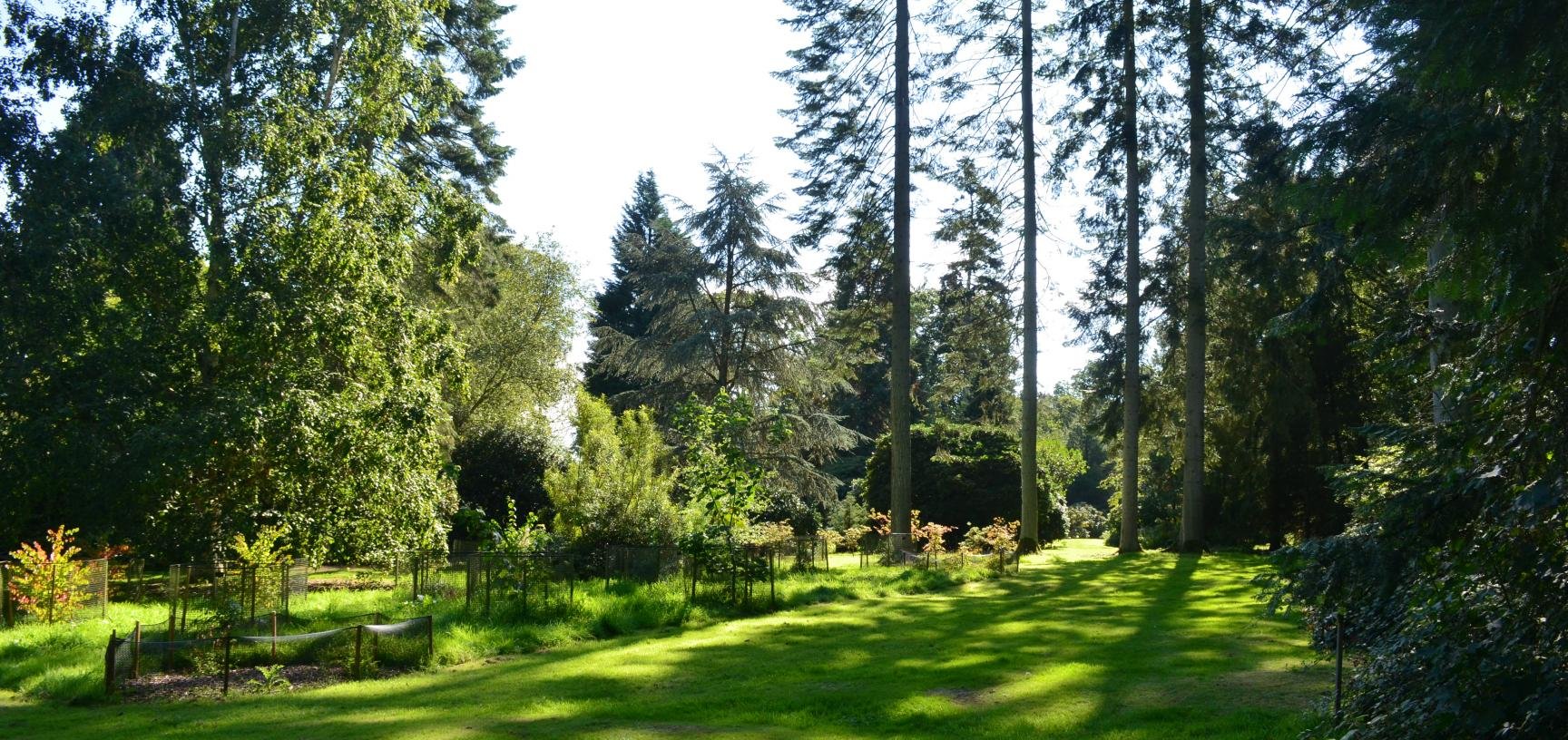 🌳 옥스퍼드 대학교 하코트 수목원 (하코트 아버리텀)